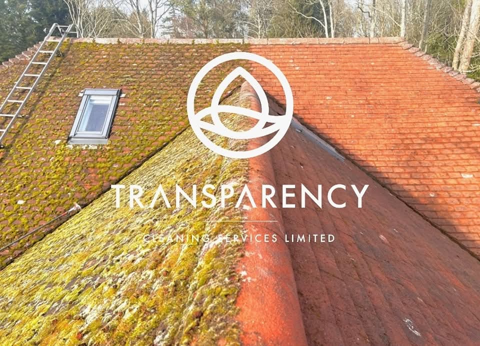 Before and after roof cleaning transformation showing a moss-covered roof restored to a clean finish by Transparency Cleaning Services