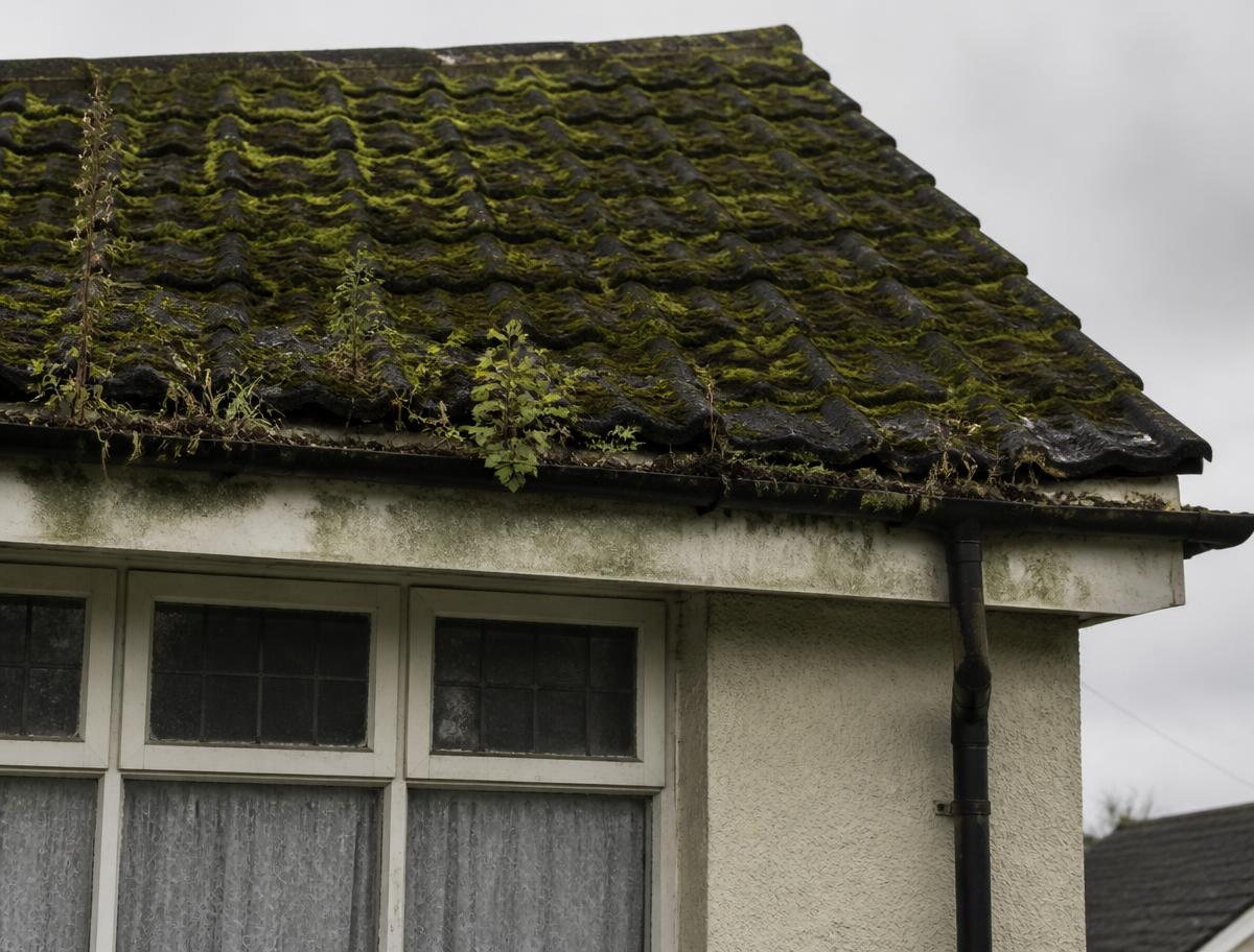 Roof & gutters before Transparency Cleaning